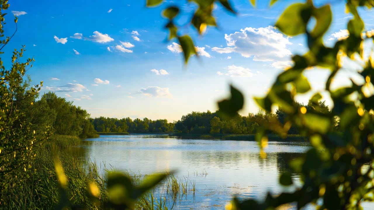 Science Validates Positive Thinking Benefits 3 positive thinking